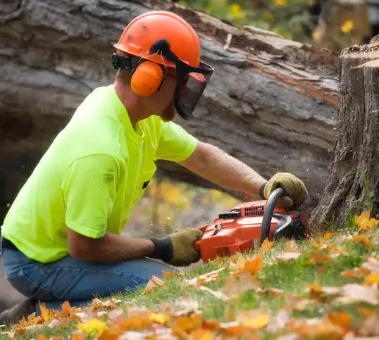 tree services Leisure Village West